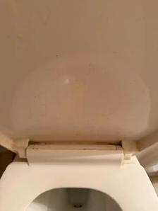 House Cleaning - Photo 4