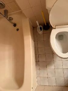 House Cleaning - Photo 6