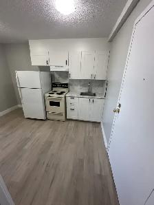 Bachelor Available Now in Minnow Lake - Photo 2
