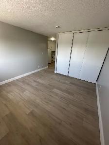 Bachelor Available Now in Minnow Lake - Photo 4