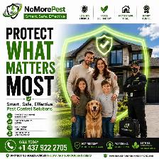 Comprehensive Pest Control Services Across the GTA