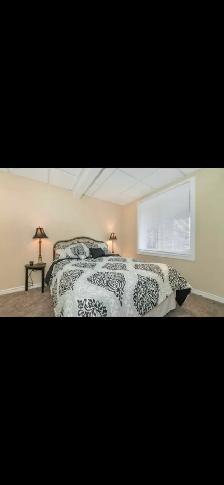 Walkout 1 Bedroom Basement for Rent - Photo 5