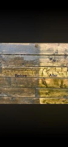 Premier Pressure Washing INC- Pressure Washing - Photo 10