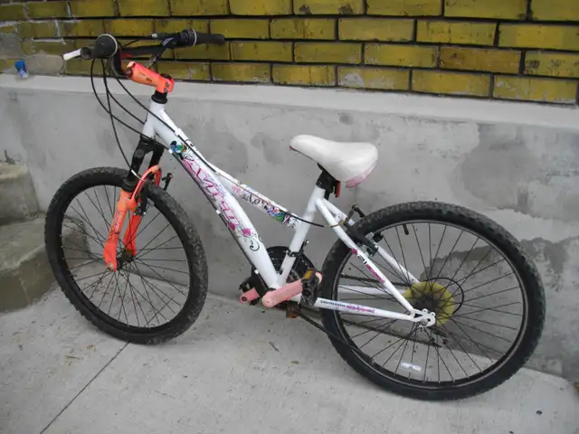 24 inch mountain bike  handy man special $25