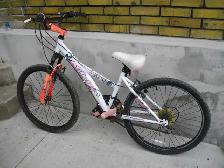 24 inch mountain bike  handy man special $25
