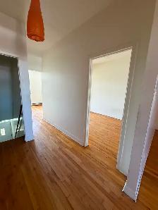 Grand 5.5 à Villeray - Photo 3
