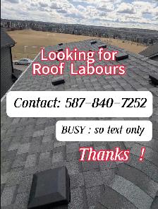 looking for roof labours