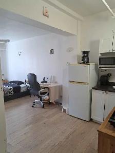 STUDIOS À LOUER / STUDIOS FOR RENT - Photo 8