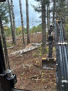 Popular logs - Photo 2