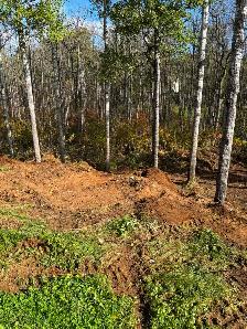 Popular logs - Photo 3