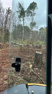 Popular logs - Photo 4
