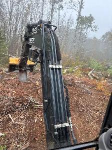 Popular logs - Photo 5