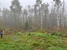 Popular logs - Photo 6