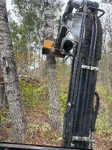 Popular logs - Photo 7