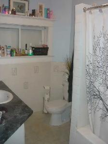 5 bedroom Wolseley House September - Photo 6