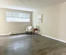 Sublet - Furnished One bhk apartment