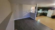 2 BEDROOM APARTMENT(1YR-LEASE) FOR RENT IN BEAUTIFUL ST-ANTOINE - Photo 2