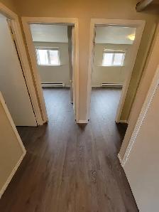 2 BEDROOM APARTMENT(1YR-LEASE) FOR RENT IN BEAUTIFUL ST-ANTOINE - Photo 5