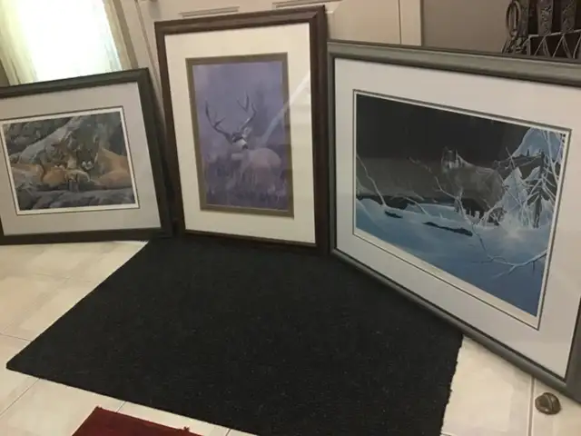 Wildlife prints