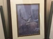 Wildlife prints - Photo 4