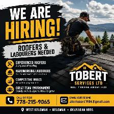 Roofer position available