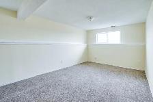 Taradale 2 Bedrooms 1 Washroom Basement For Rent 1st August - Photo 5