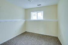 Taradale 2 Bedrooms 1 Washroom Basement For Rent 1st August - Photo 10