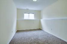 Taradale 2 Bedrooms 1 Washroom Basement For Rent 1st August - Photo 11