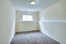 Taradale 2 Bedrooms 1 Washroom Basement For Rent 1st August - Photo 12