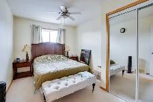 Taradale Main Floor 3 Bedrooms 2 Washrooms For Rent 1st Sept - Photo 10
