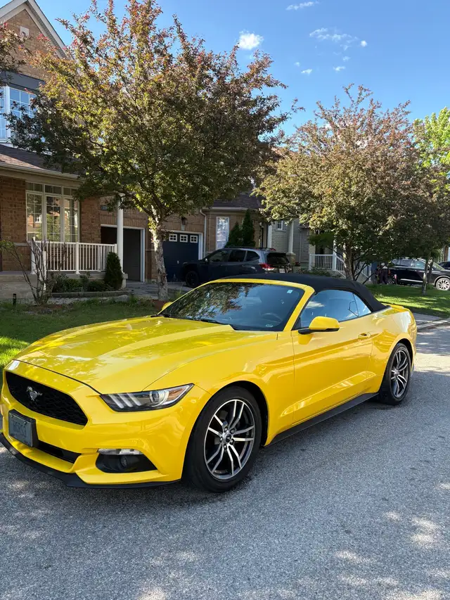 2017 Ford Mustang EcoBoost Premium Convertible low KMs