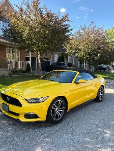 2017 Ford Mustang EcoBoost Premium Convertible low KMs