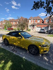 2017 Ford Mustang EcoBoost Premium Convertible low KMs - Photo 2