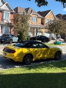 2017 Ford Mustang EcoBoost Premium Convertible low KMs - Photo 3