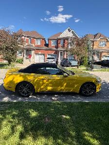 2017 Ford Mustang EcoBoost Premium Convertible low KMs - Photo 4
