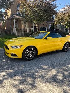 2017 Ford Mustang EcoBoost Premium Convertible low KMs - Photo 5
