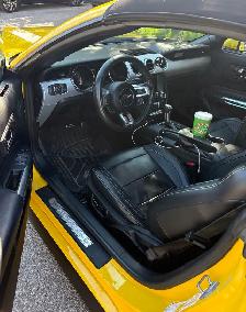2017 Ford Mustang EcoBoost Premium Convertible low KMs - Photo 7
