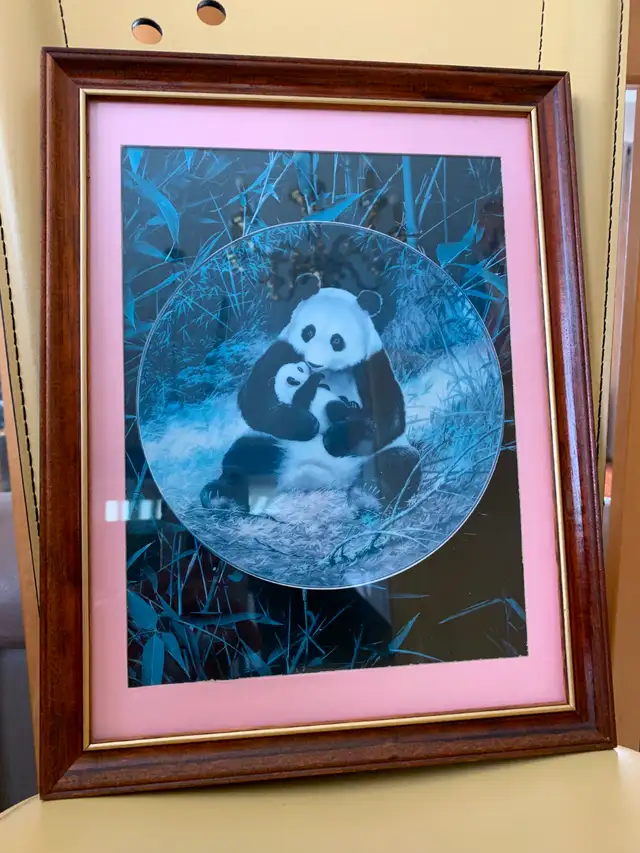 BEAU CADRE VITRÉ 10'x14' MAMAN PANDA SON BÉBÉ DANS BRAS: $20.00