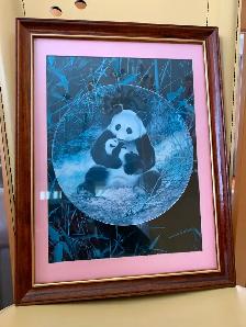 BEAU CADRE VITRÉ 10'x14' MAMAN PANDA SON BÉBÉ DANS BRAS: $20.00