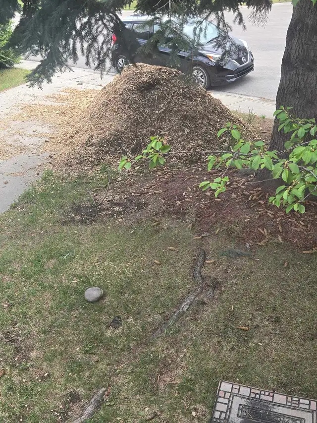 Free mulch pick up only