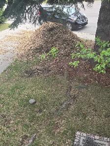 Free mulch pick up only