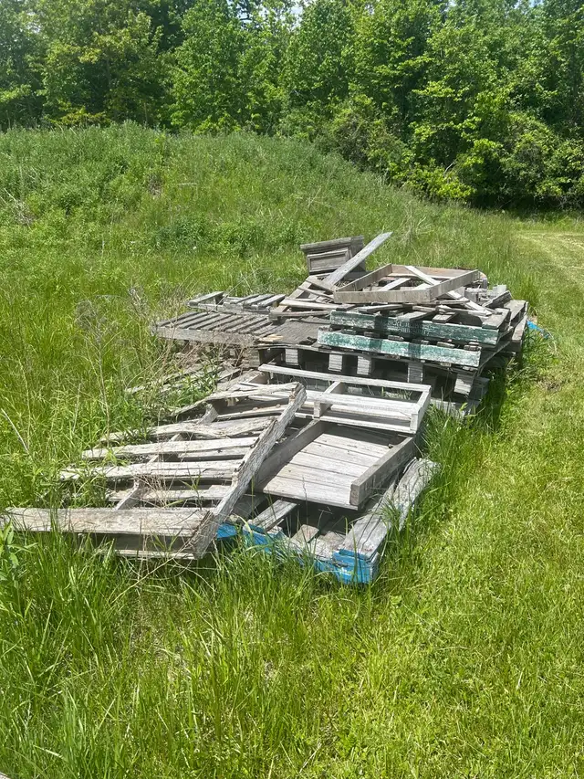 FREE FIRE WOOD!! SKIDS