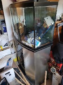 Aquarium - Photo 2