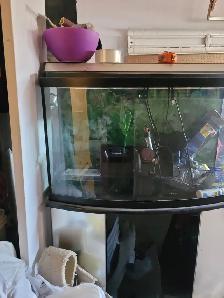 Aquarium - Photo 4