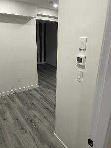 2 Bed 1 Bath Basement Suite in Laurel - Photo 5