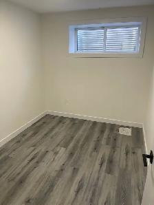2 Bed 1 Bath Basement Suite in Laurel - Photo 10