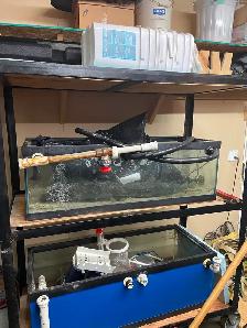 Salt Water Fish Tank system - Photo 4