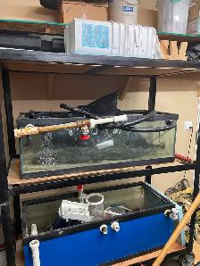 Salt Water Fish Tank system - Photo 5