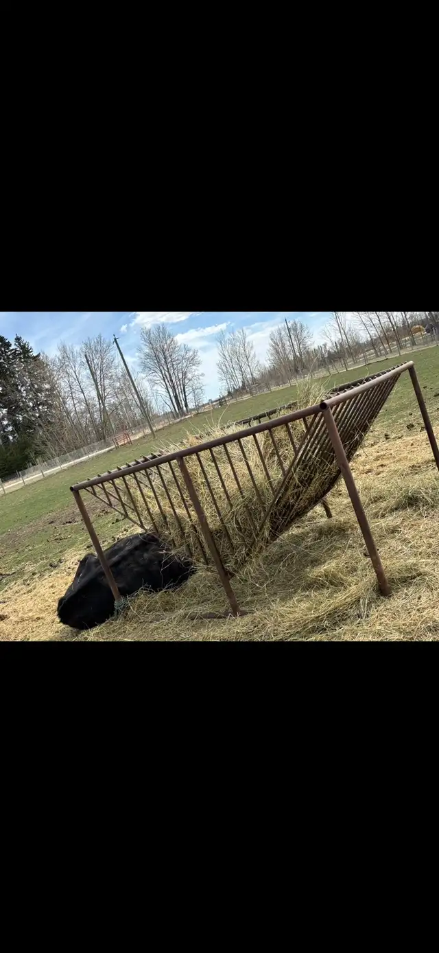 live stock feeder