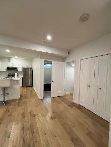 rent basement - Photo 5